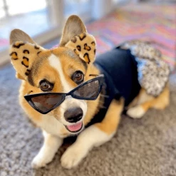 The Paw Wag Company Style Cat Eye Sunglasses Black