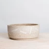 Utility Objects Live Sand Shapes Pet Bowl