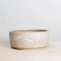 Utility Objects Live Sand Shapes Pet Bowl