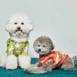 And Blank Bunny Clover T-Shirt