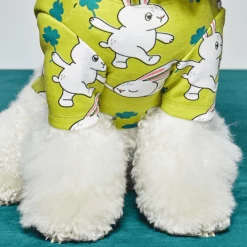 And Blank Bunny Clover T-Shirt