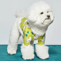 And Blank Bunny Clover T-Shirt