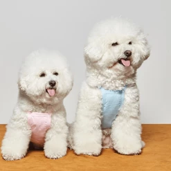 And Blank Bunny Linen Top Blue