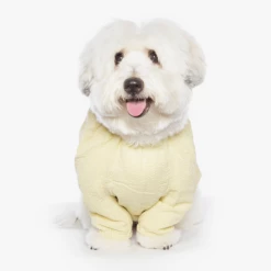 Betters Ribbon Shirt Yellow