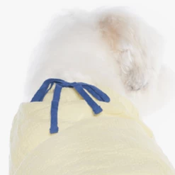 Betters Ribbon Shirt Yellow