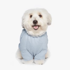 Betters Wear Ribbon Shirt Blue