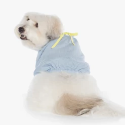 Betters Wear Ribbon Shirt Blue