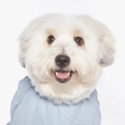 Betters Wear Ribbon Shirt Blue