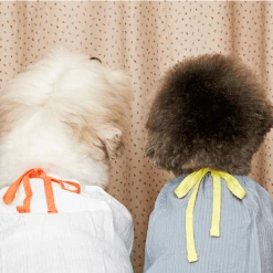 Betters Wear Ribbon Shirt Blue