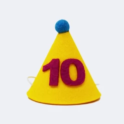 MODERNBEAST Style Number 10 Pawty Hat