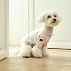 Small Stuff Organic Raglan Tee Pink