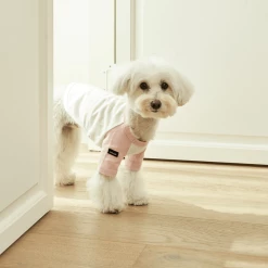 Small Stuff Organic Raglan Tee Pink