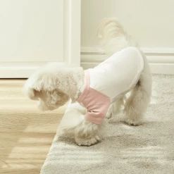 Small Stuff Organic Raglan Tee Pink