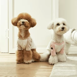 Small Stuff Organic Raglan Tee Pink