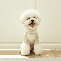 Small Stuff Organic Raglan Tee Green Wear