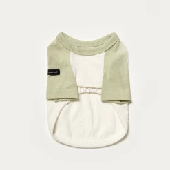 Small Stuff Organic Raglan Tee Green Wear