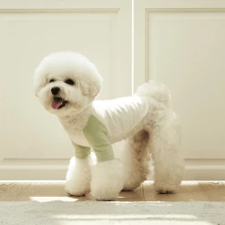 Small Stuff Organic Raglan Tee Green Wear