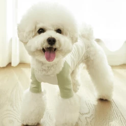 Small Stuff Organic Raglan Tee Green Wear