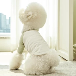 Small Stuff Organic Raglan Tee Green Wear