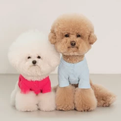 Dentists Appointment Waffle Crop Tee Magenta Wear