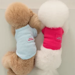 Dentists Appointment Waffle Crop Tee Magenta Wear