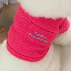 Dentists Appointment Waffle Crop Tee Magenta Wear