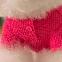 Dentists Appointment Waffle Crop Tee Magenta Wear