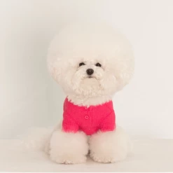 Dentists Appointment Waffle Crop Tee Magenta Wear