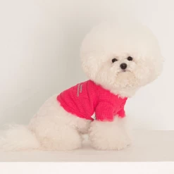 Dentists Appointment Waffle Crop Tee Magenta Wear