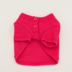 Dentists Appointment Waffle Crop Tee Magenta Wear