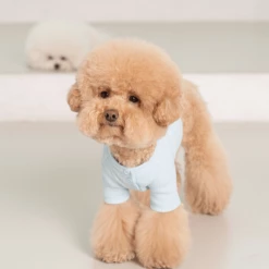 Dentists Appointment Wear Waffle Crop Tee Blue