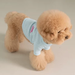 Dentists Appointment Wear Waffle Crop Tee Blue