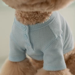 Dentists Appointment Wear Waffle Crop Tee Blue