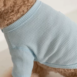 Dentists Appointment Wear Waffle Crop Tee Blue