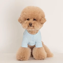 Dentists Appointment Wear Waffle Crop Tee Blue