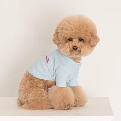 Dentists Appointment Wear Waffle Crop Tee Blue