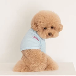 Dentists Appointment Wear Waffle Crop Tee Blue