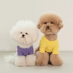 Dentists Appointment Waffle Crop Tee Yellow