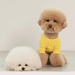 Dentists Appointment Waffle Crop Tee Yellow