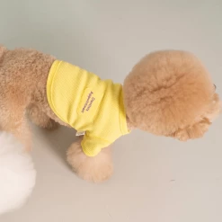 Dentists Appointment Waffle Crop Tee Yellow