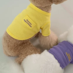 Dentists Appointment Waffle Crop Tee Yellow