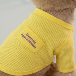 Dentists Appointment Waffle Crop Tee Yellow