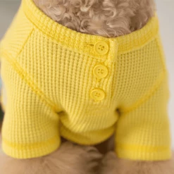 Dentists Appointment Waffle Crop Tee Yellow