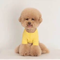 Dentists Appointment Waffle Crop Tee Yellow