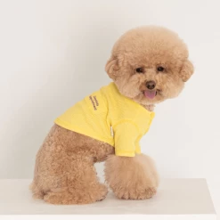 Dentists Appointment Waffle Crop Tee Yellow