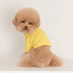 Dentists Appointment Waffle Crop Tee Yellow