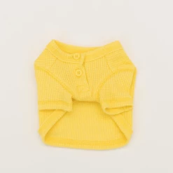 Dentists Appointment Waffle Crop Tee Yellow