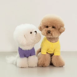 Dentists Appointment Waffle Crop Tee Purple