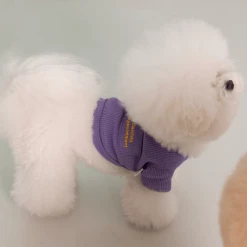 Dentists Appointment Waffle Crop Tee Purple