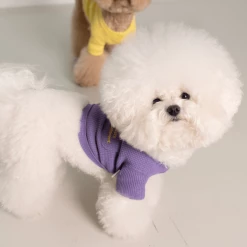 Dentists Appointment Waffle Crop Tee Purple